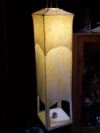 2007 Lamp